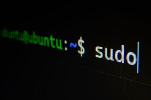 ubuntu sudo